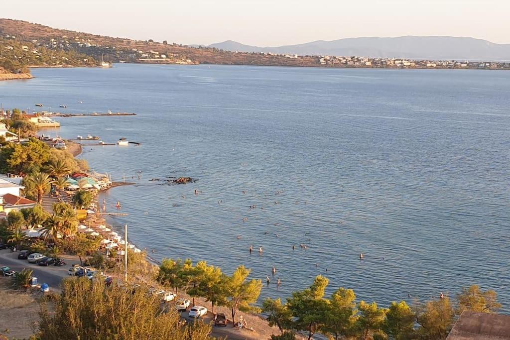 Appartement Avec Vue Aegina المظهر الخارجي الصورة